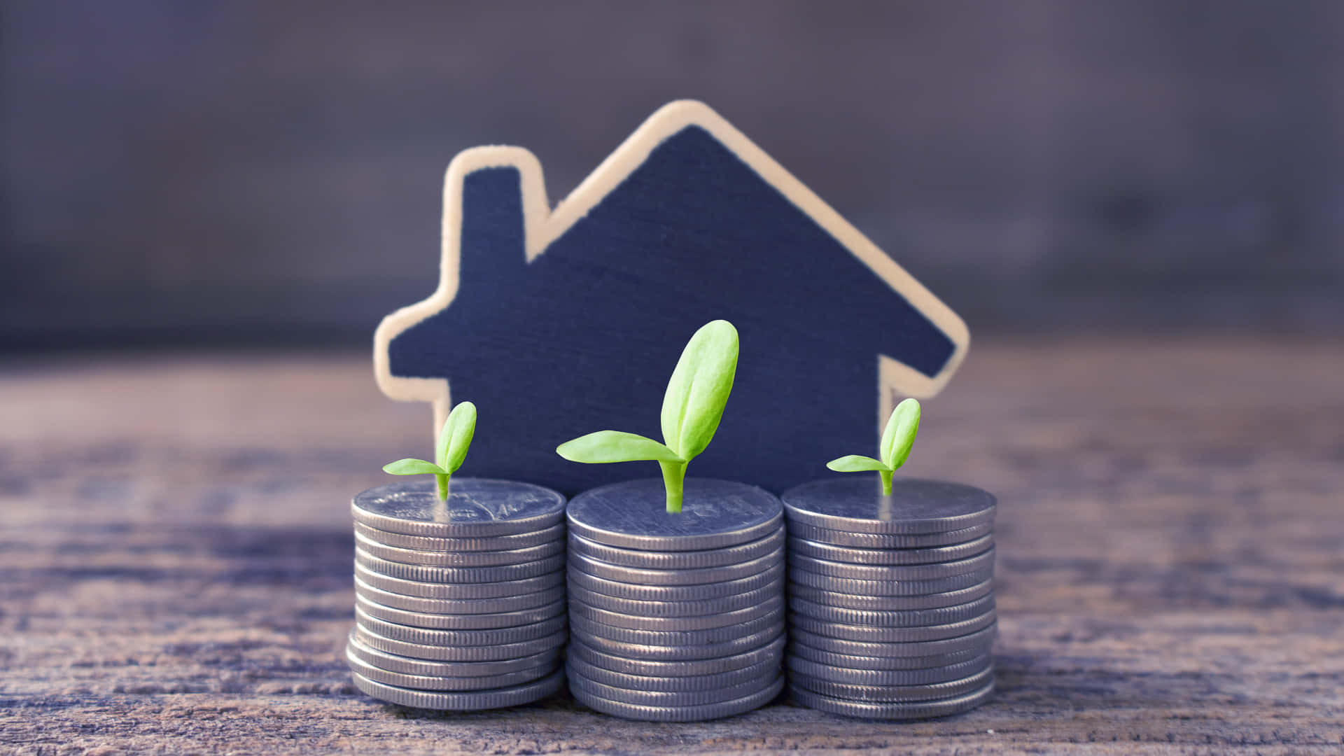 “न Sona और न ही शेयर्स: अमीर लोग पैसा कहां लगाते हैं?” — एक विश्लेषण